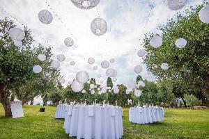2101-697791029.nl_lampionnen_1