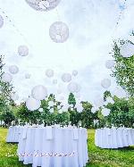 2101-537894588.nl_lampionnen_9