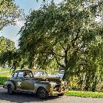 6_trouwen_op_wielen_oldtimer-huren